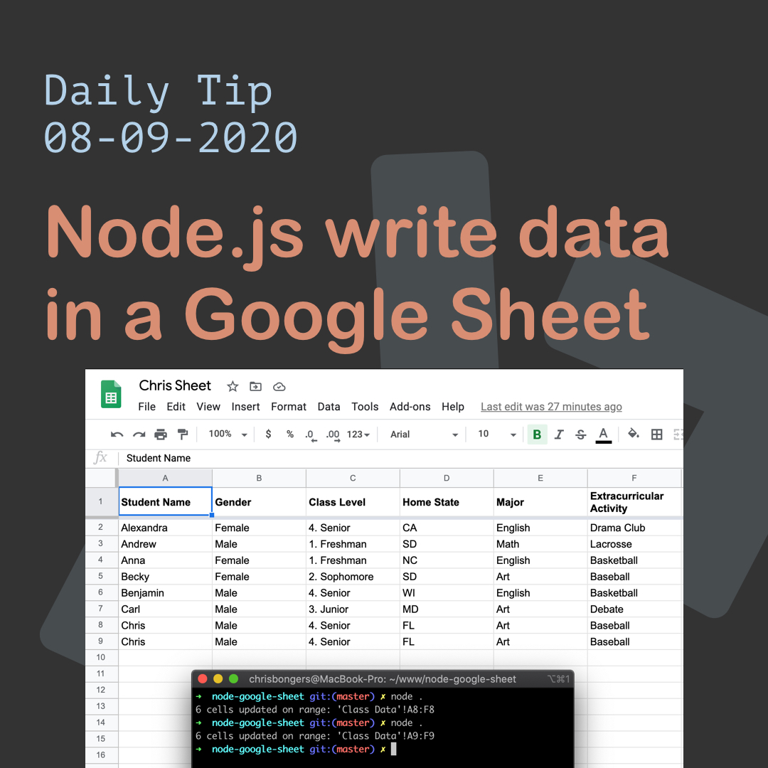 Node.js write data in a Google Sheet